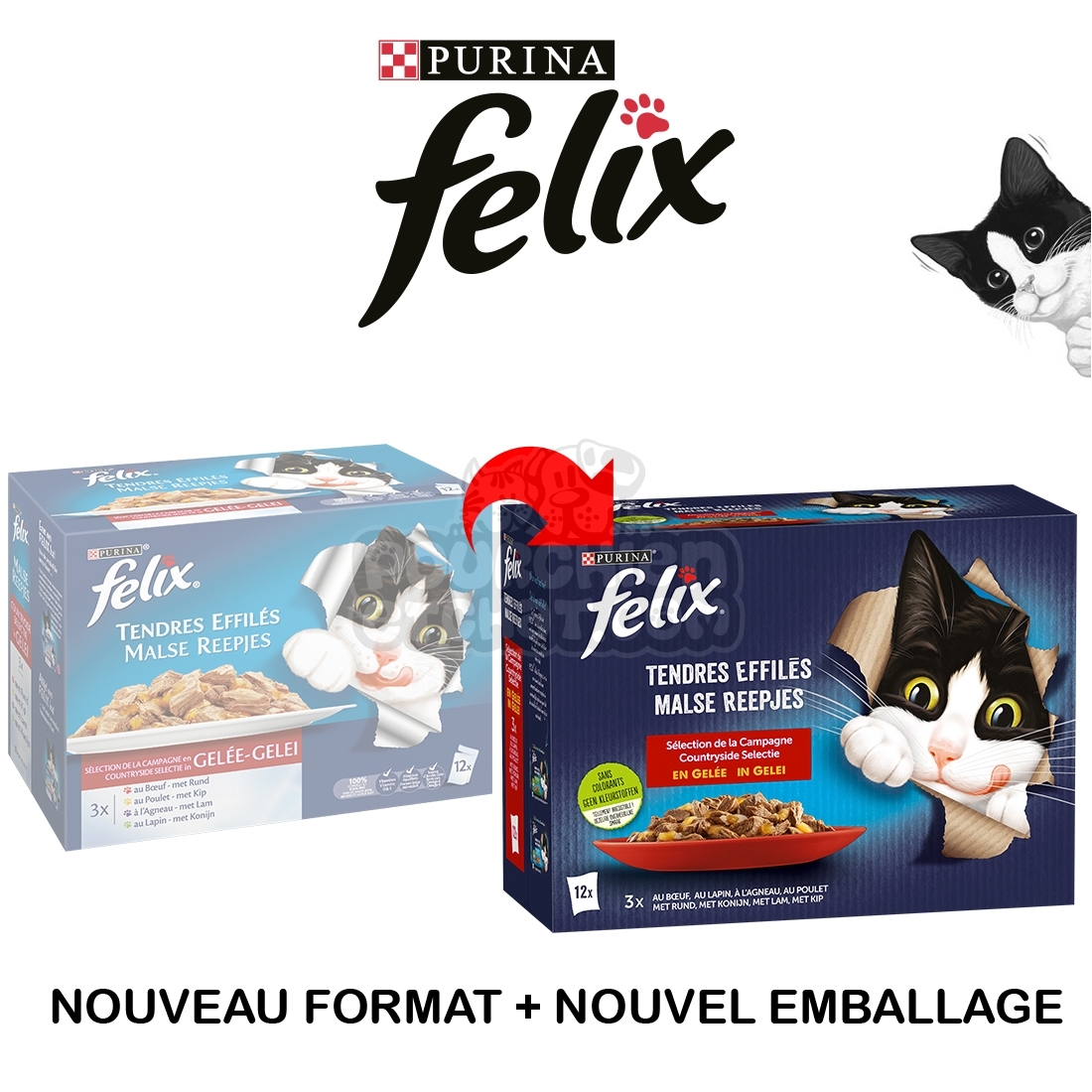 Pâtée pour chat FELIX Tendres Effilés en Gelée Viandes-Poissons 44 Sachets  x 100g