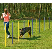Pochette Ceinture MANMAT - All 4 Dog Sports - Tout pour les sports canins